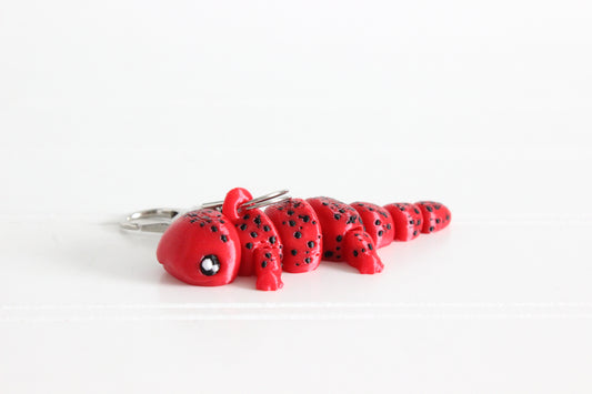 Salamander