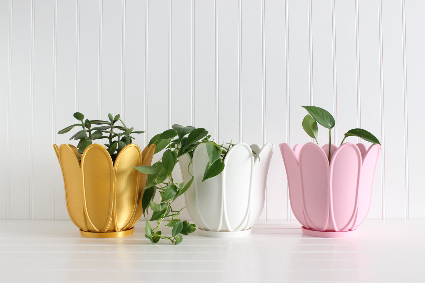 Flower Planter, Tulip Planter, Modern Indoor Planter, Plant Pot for Spring