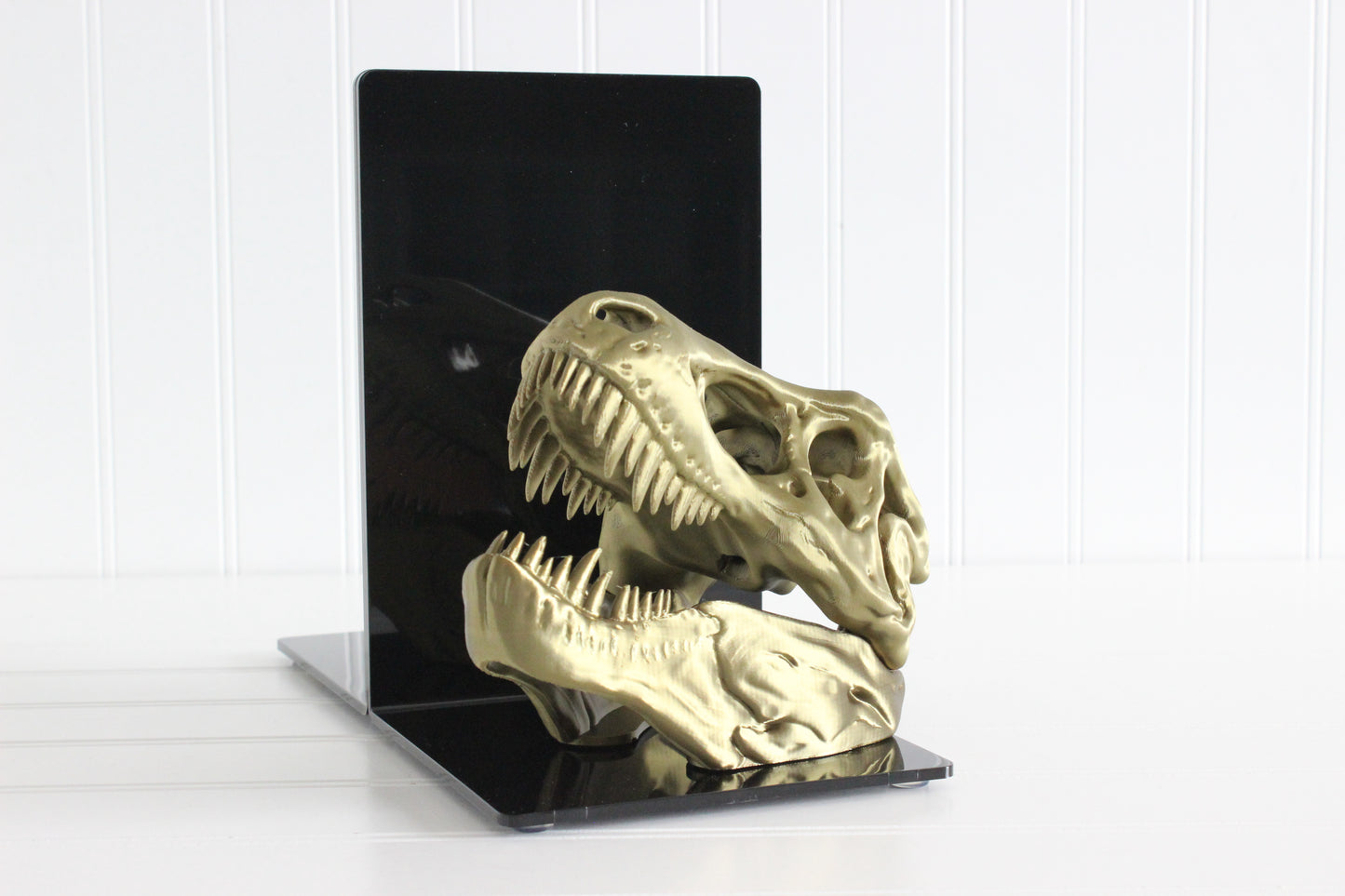Dinosaur Bookend, T-Rex Skull, Tyrannosaurus Rex, Bookshelf Decor, Gifts for Science Teachers, Boy Bedroom