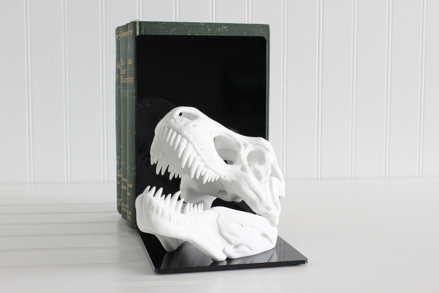 Dinosaur Bookend, T-Rex Skull, Tyrannosaurus Rex, Bookshelf Decor, Gifts for Science Teachers, Boy Bedroom