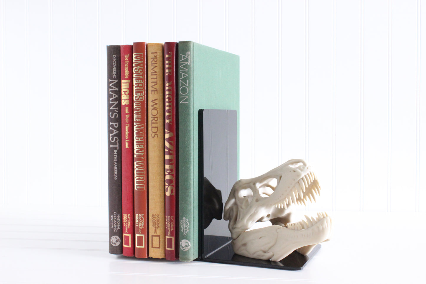 Dinosaur Bookend, T-Rex Skull, Tyrannosaurus Rex, Bookshelf Decor, Gifts for Science Teachers, Boy Bedroom