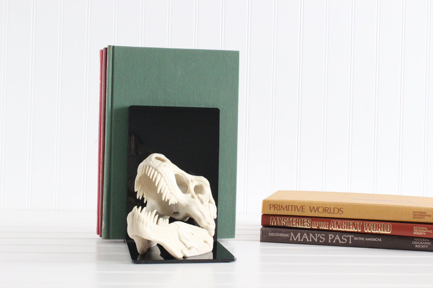 Dinosaur Bookend, T-Rex Skull, Tyrannosaurus Rex, Bookshelf Decor, Gifts for Science Teachers, Boy Bedroom