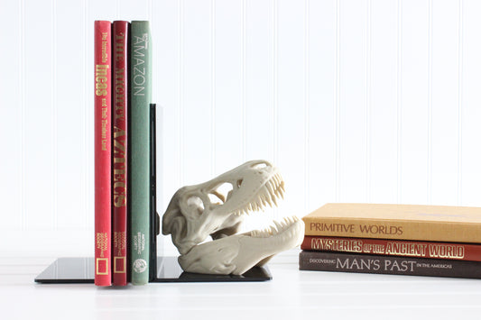Dinosaur Bookend, T-Rex Skull, Tyrannosaurus Rex, Bookshelf Decor, Gifts for Science Teachers, Boy Bedroom