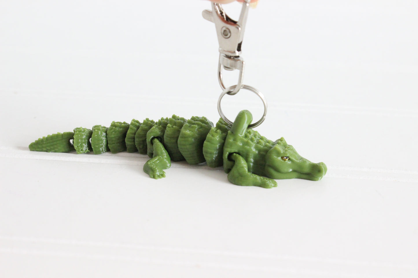 Alligator