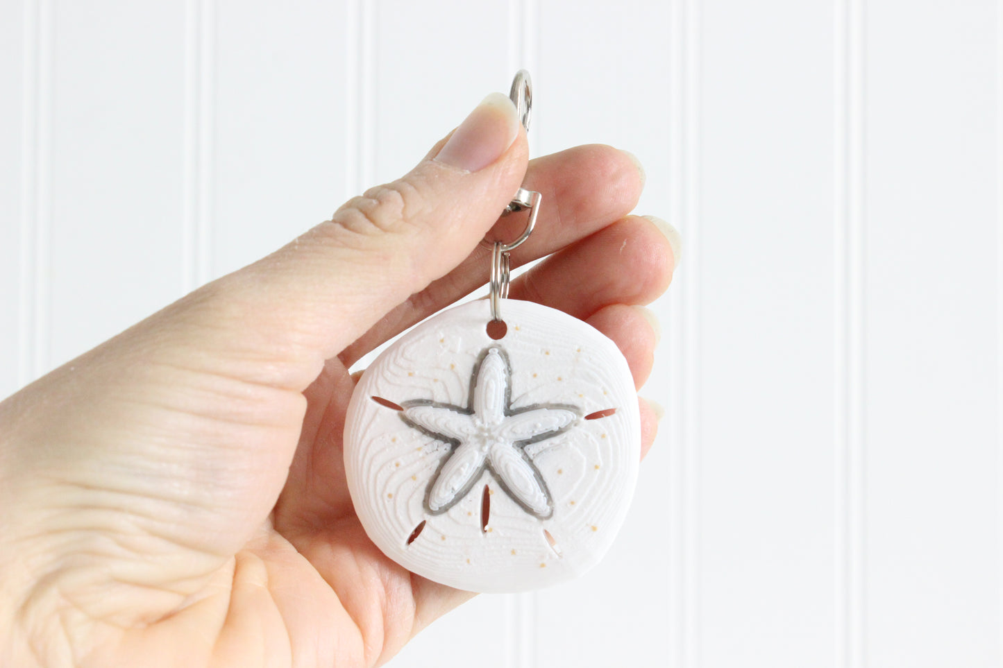 Sand Dollar