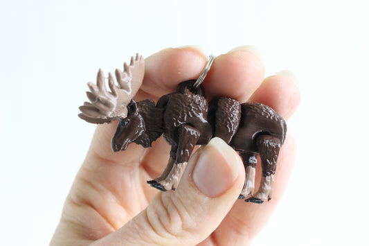 Moose