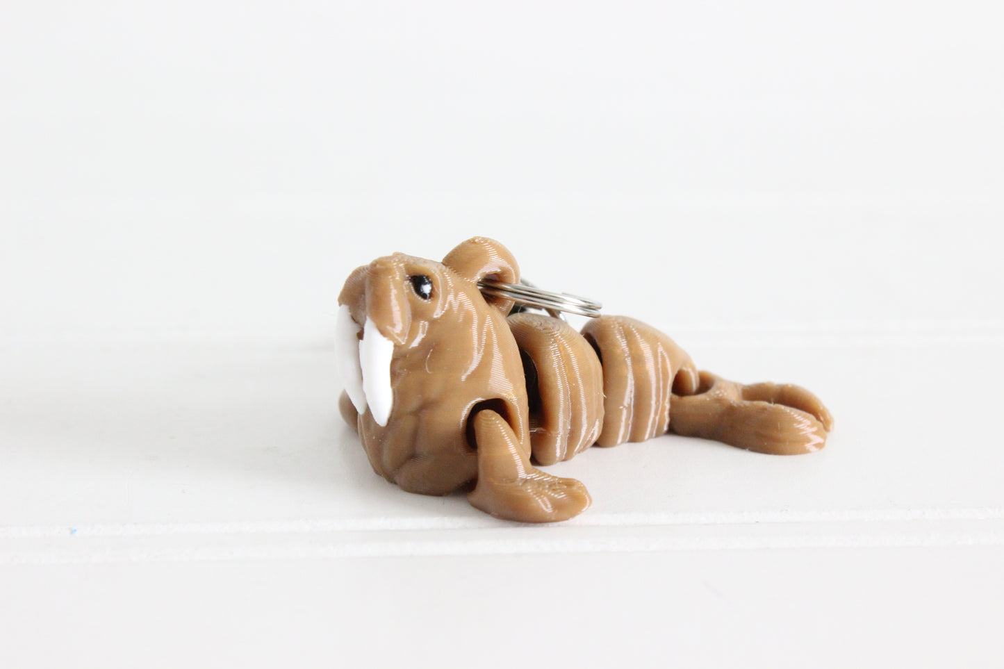Walrus