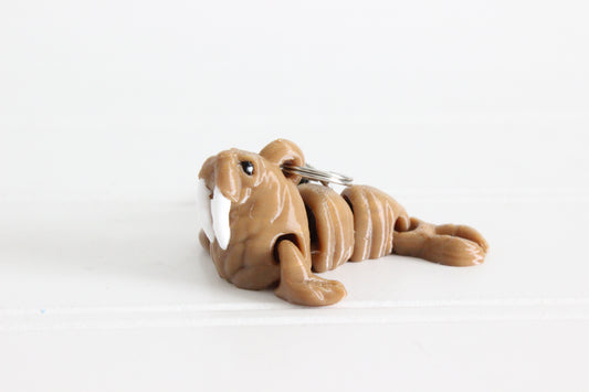 Walrus