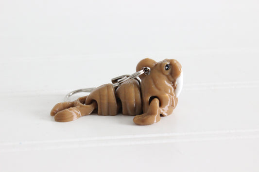 Walrus