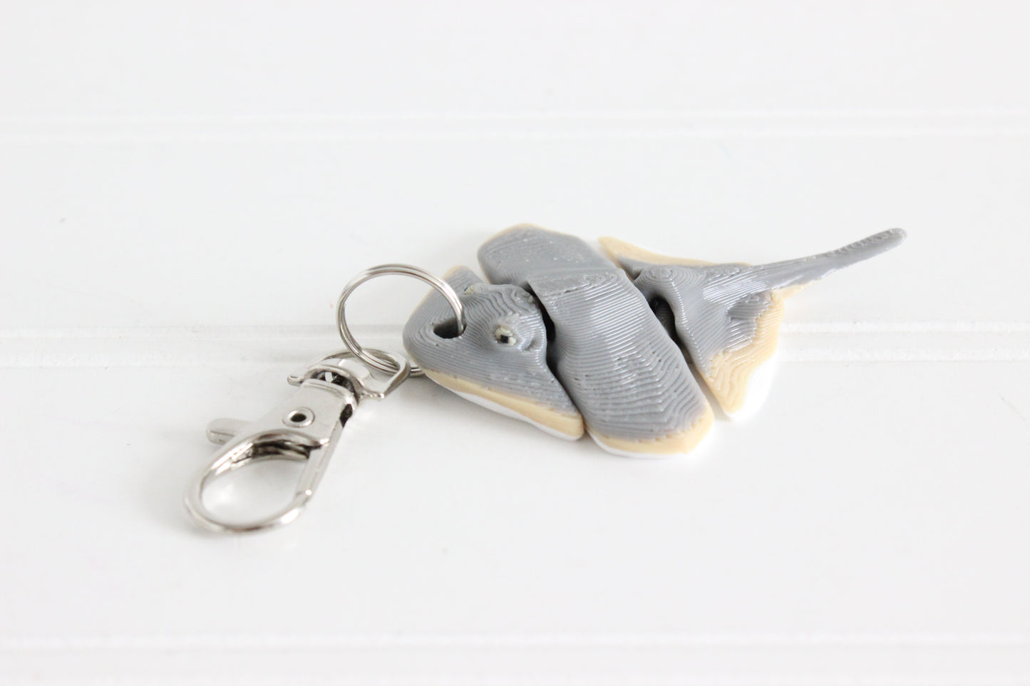 Ray- Stingray