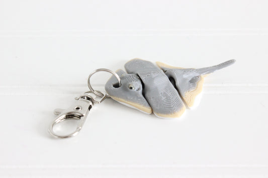 Ray- Stingray