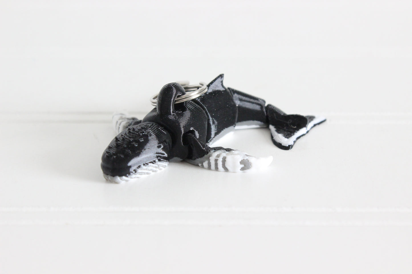 Whale- Humpback