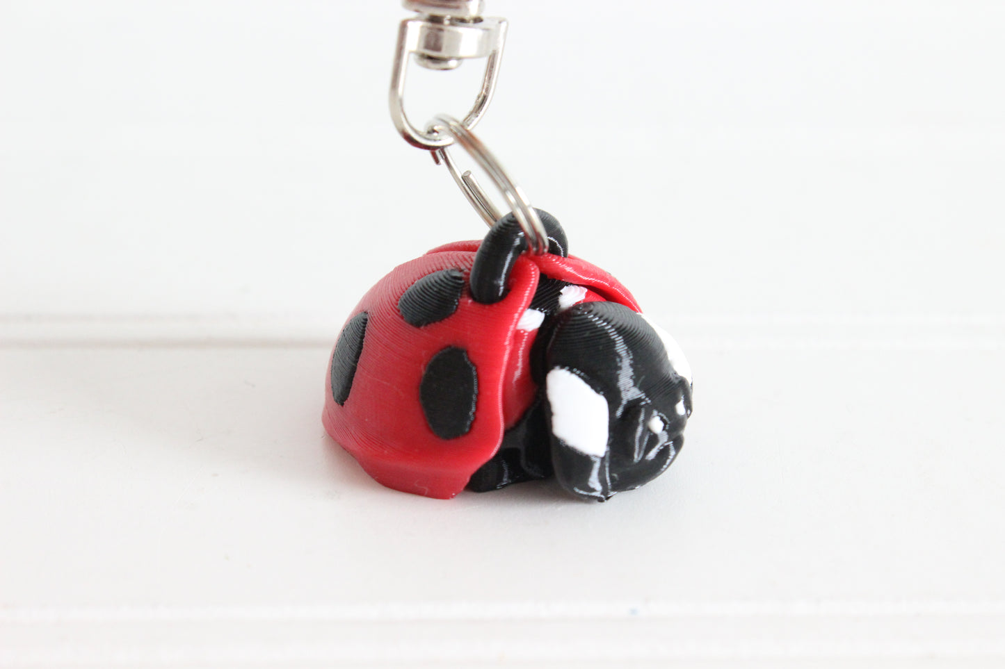 Ladybug