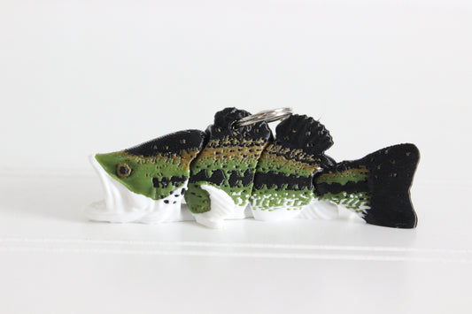 Fish- Bass