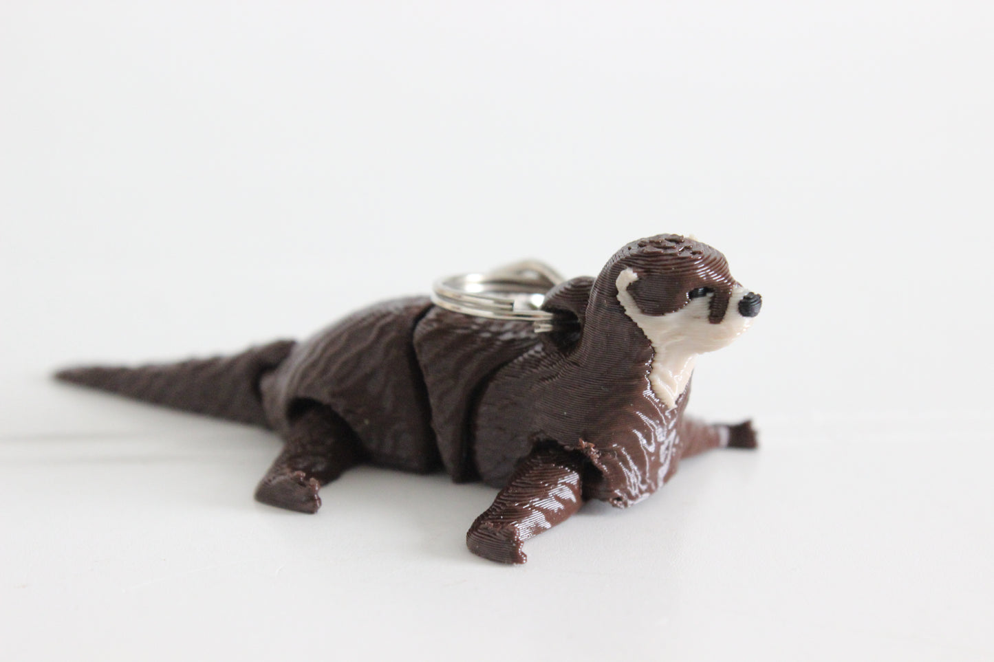 Otter- River Otter