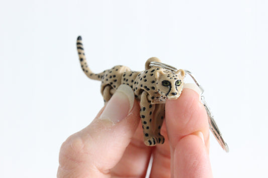 Cheetah