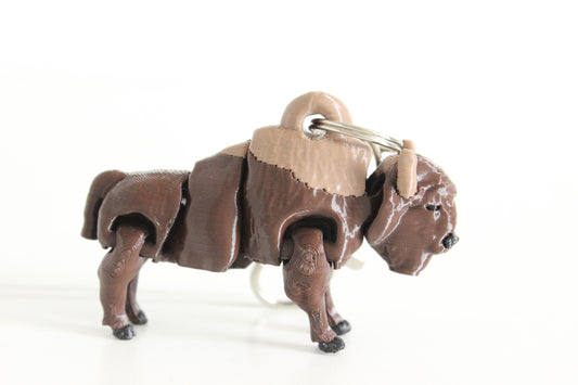 Bison