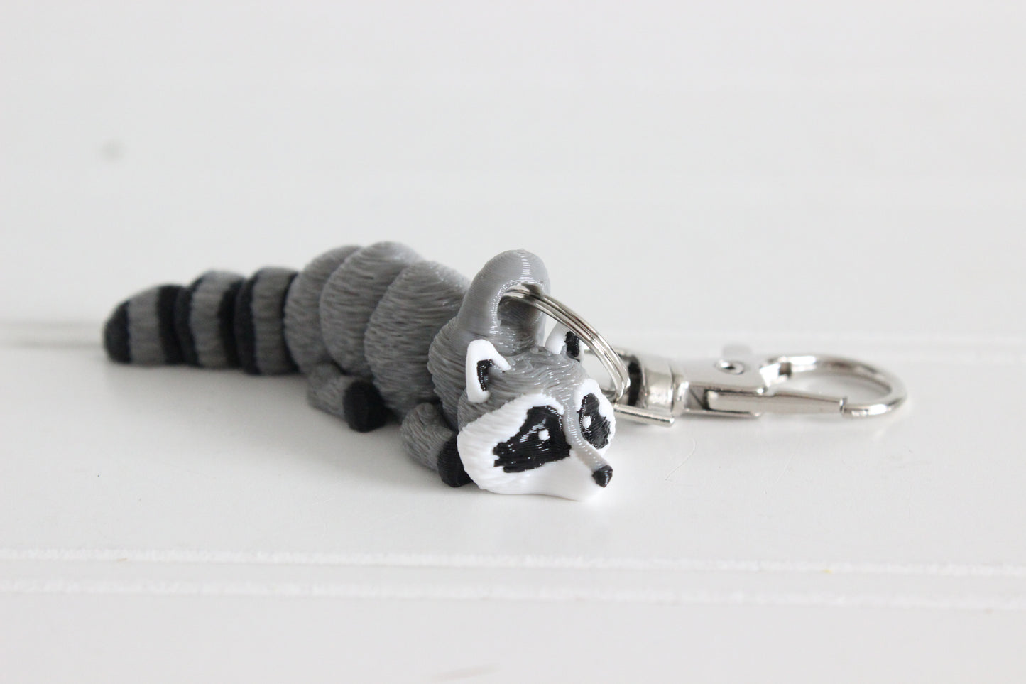 Raccoon