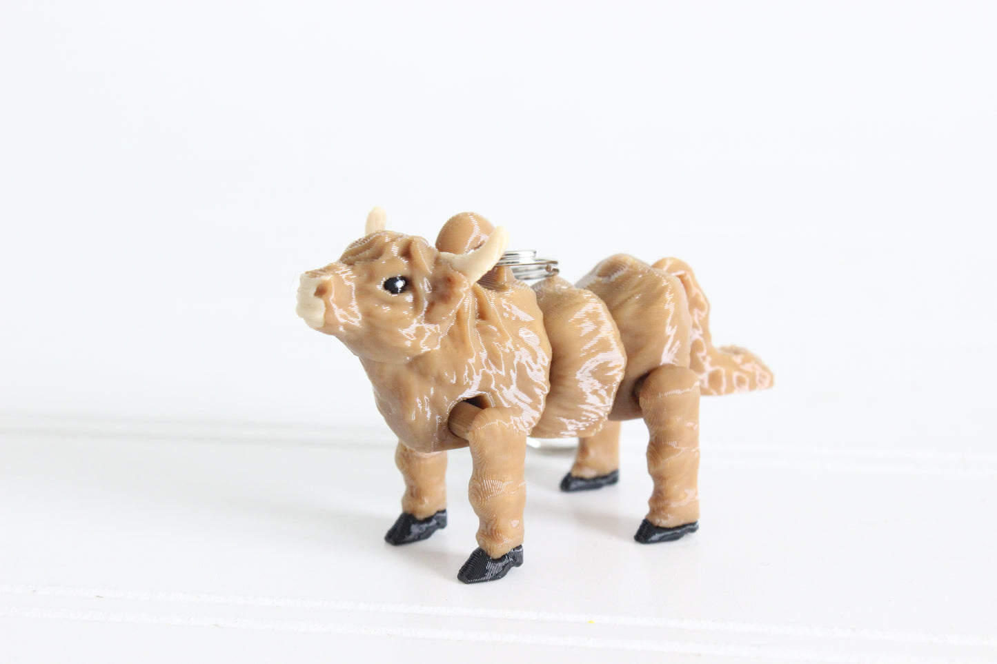 Cow- Highland