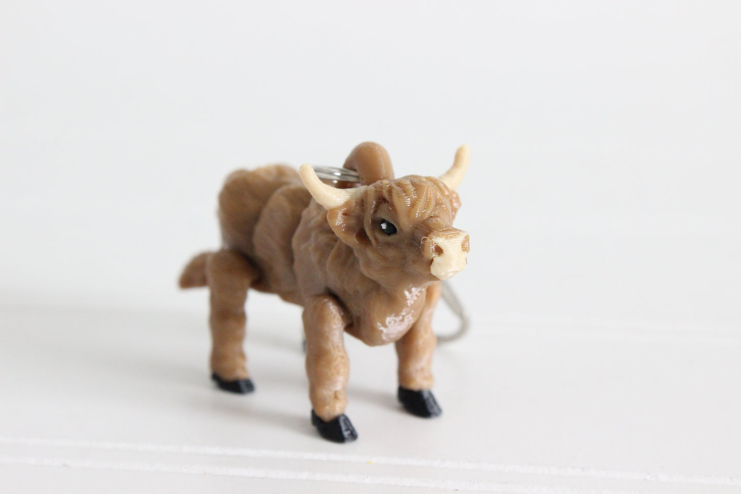 Cow- Highland