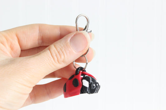Ladybug
