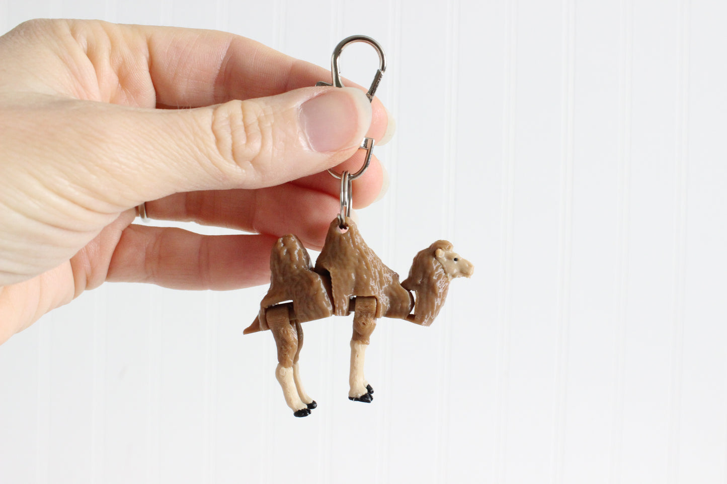 Camel