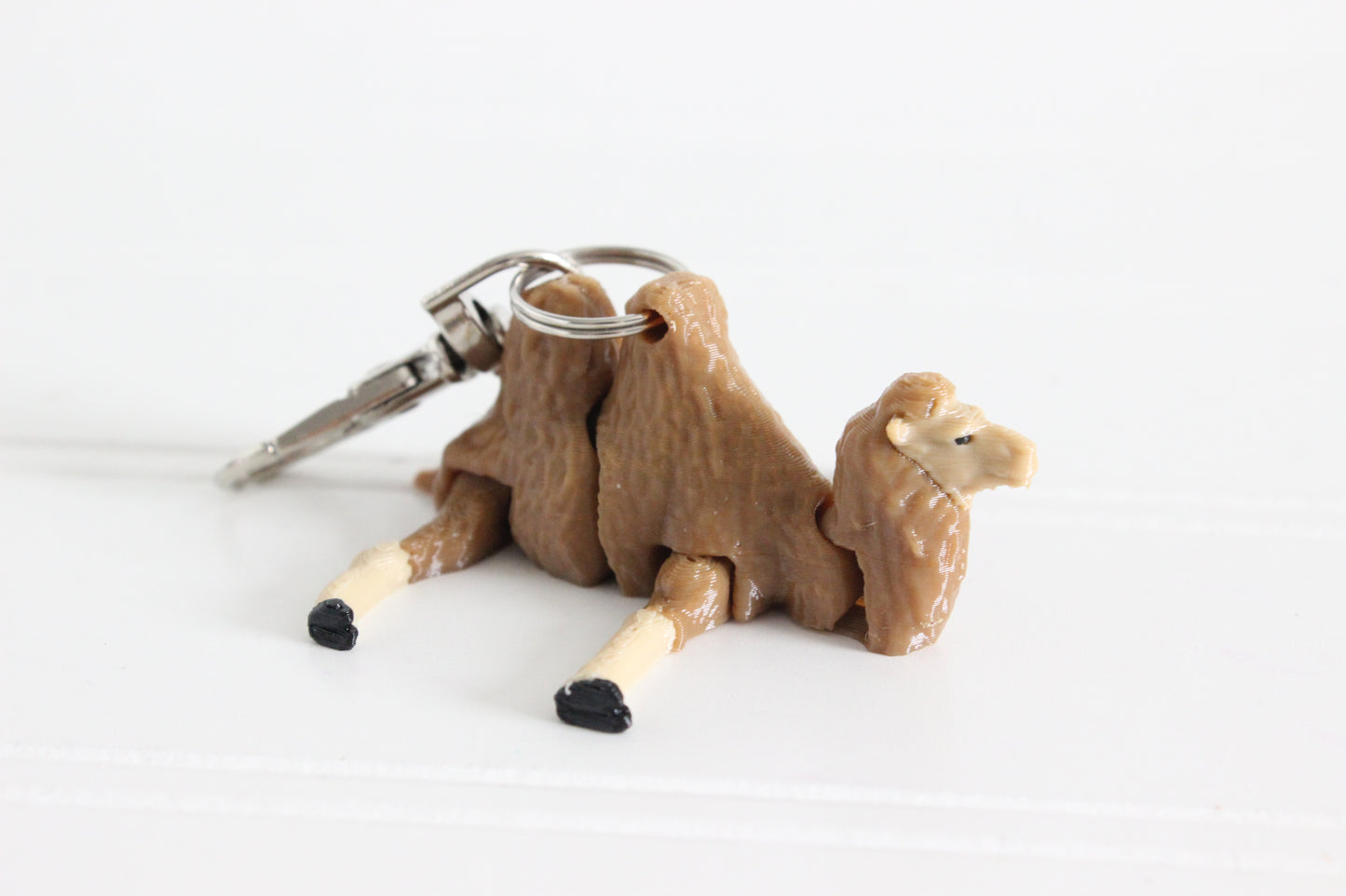 Camel