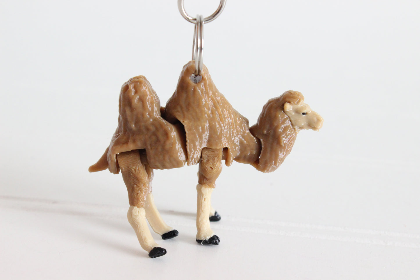 Camel