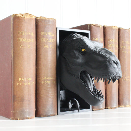 Dinosaur Book Nook, Dinosaur Head Bookshelf Decor, 3D Print